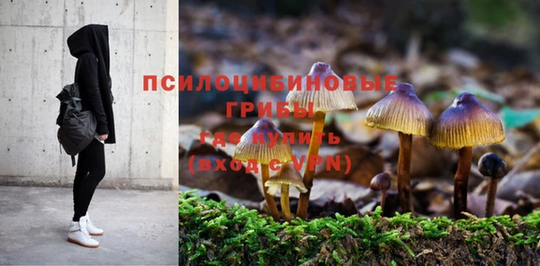 гидропоника Абдулино