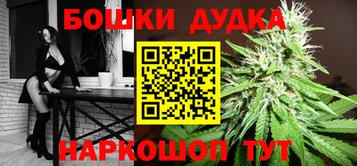 гидра Будённовск