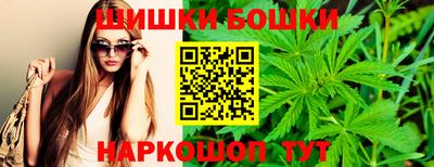 гидра Будённовск