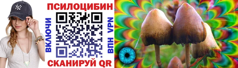Псилоцибиновые грибы Cubensis  продажа наркотиков  Нижневартовск 