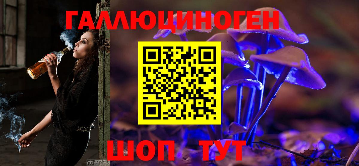 Нижневартовск  Псилоцибиновые грибы Cubensis  Вход с VPN 